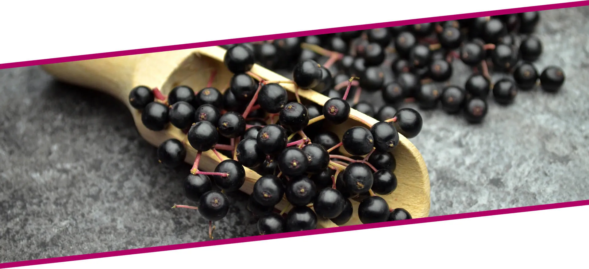 Black Elderberry Extract