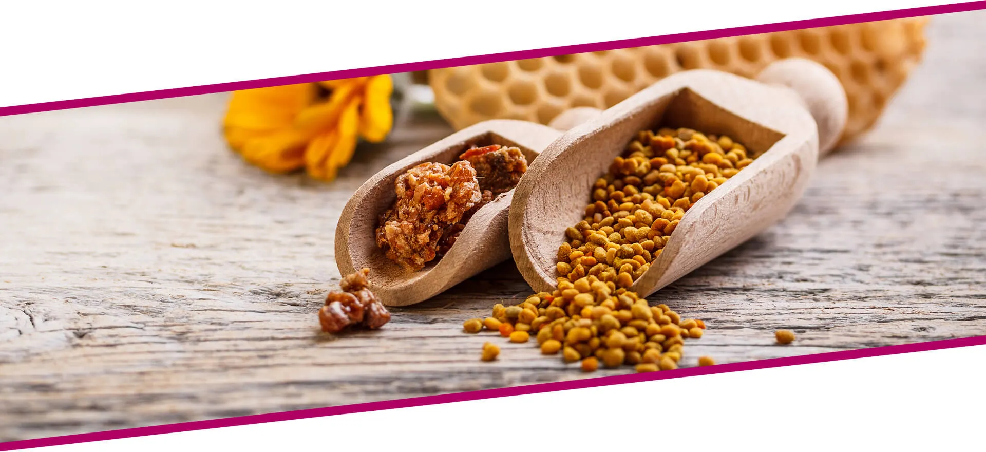 Propolis Extract Sm